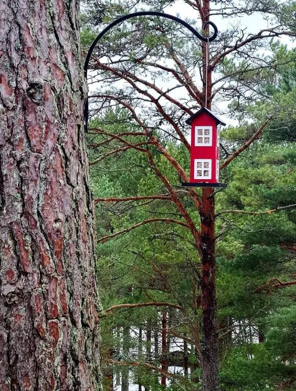 Dream Corner Nordic