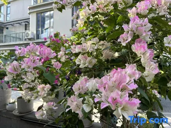 Xishe No.1 Homestay