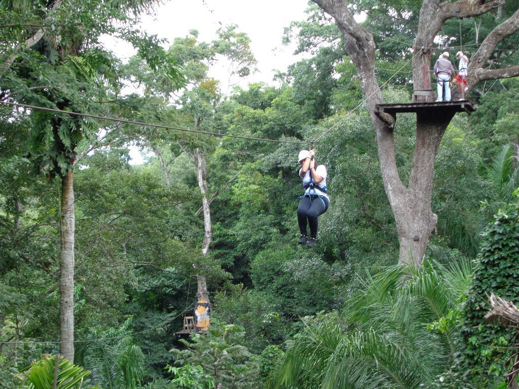Los Cedros