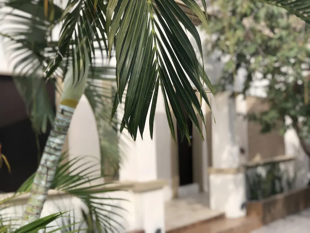 Casa 511 Hotel Boutique