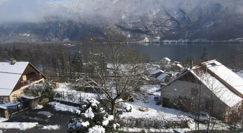 Fleurs du Lac