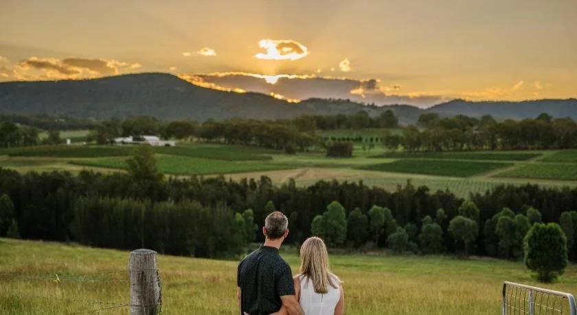 Hanging Tree Wines