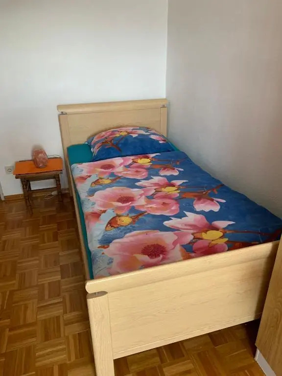 Reichenbach Apartment