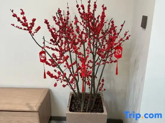 Miss Wu's Homestay (Huayu Shuyuan Branch), Zhangjiajie