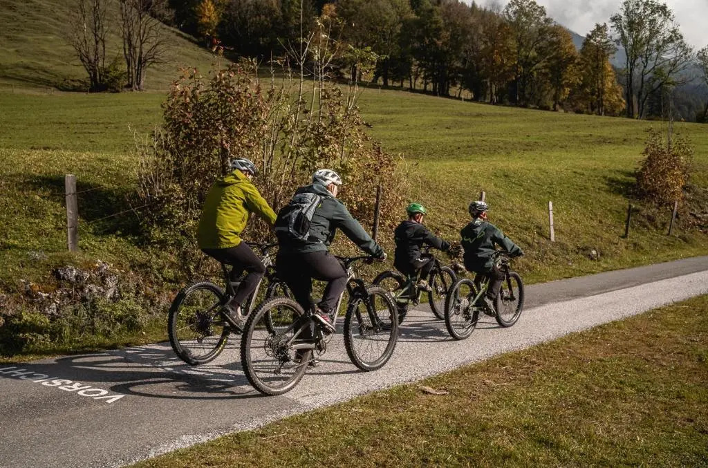 APART HERZOG - URBAN LUXURY LIFESTYLE direct at Steinbergpiste and Steinbergbahn