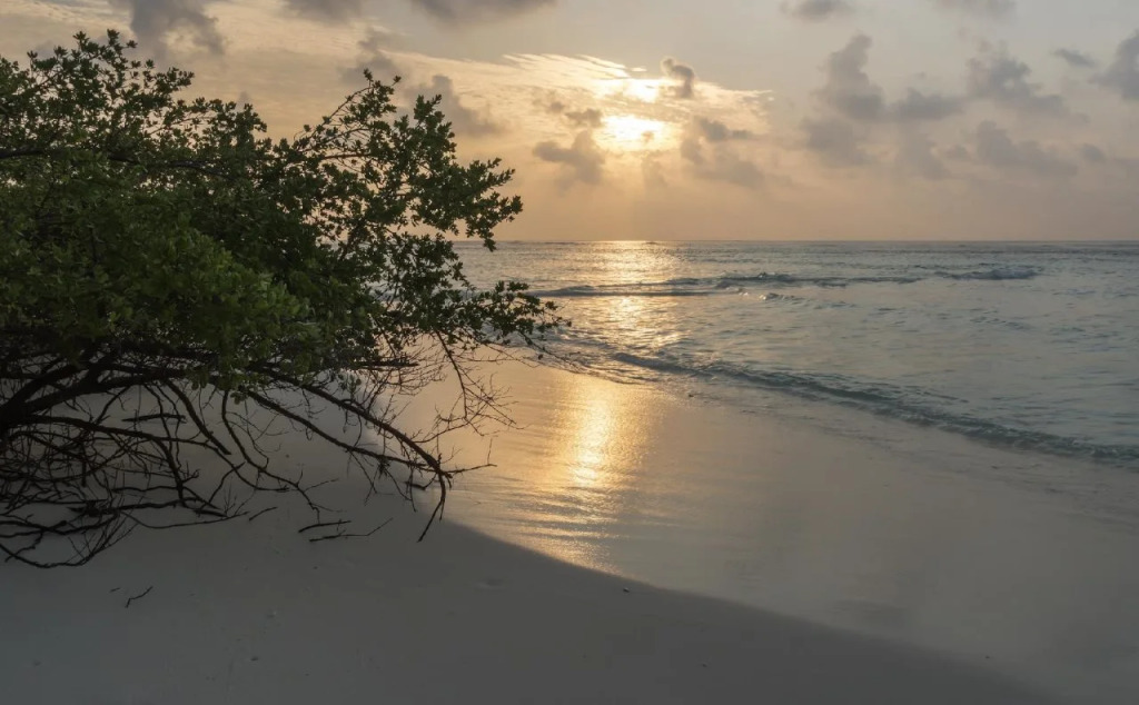 Ras Beach Inn
