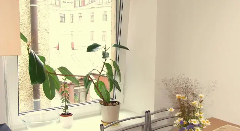 Sunny Loft Studio