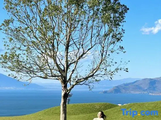 The better, under the green shade trees, forest garden full sea view holiday villa