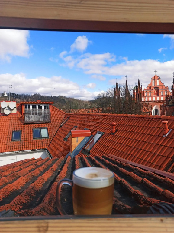 Šv. Mykolo Rooftop Apartment & Sauna