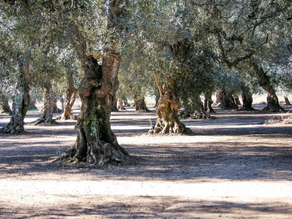 Holiday Home Via Due Luglio