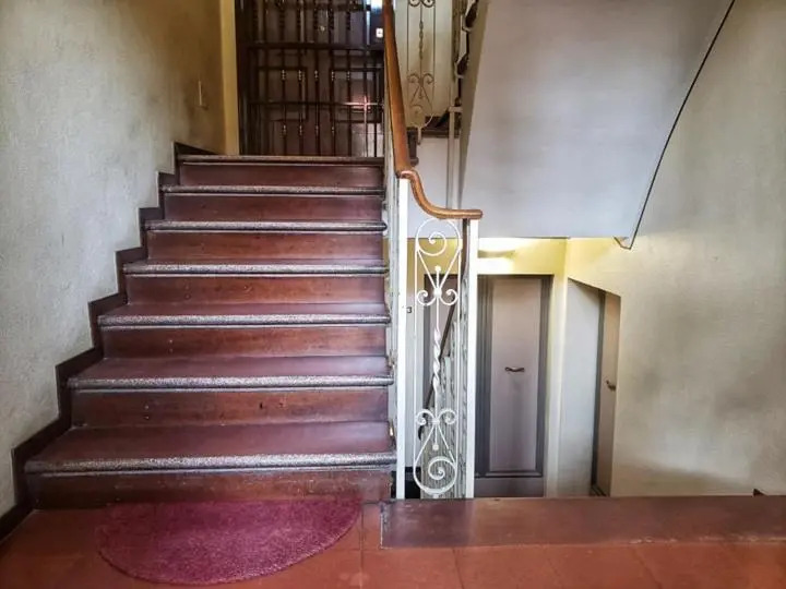 The Golden House