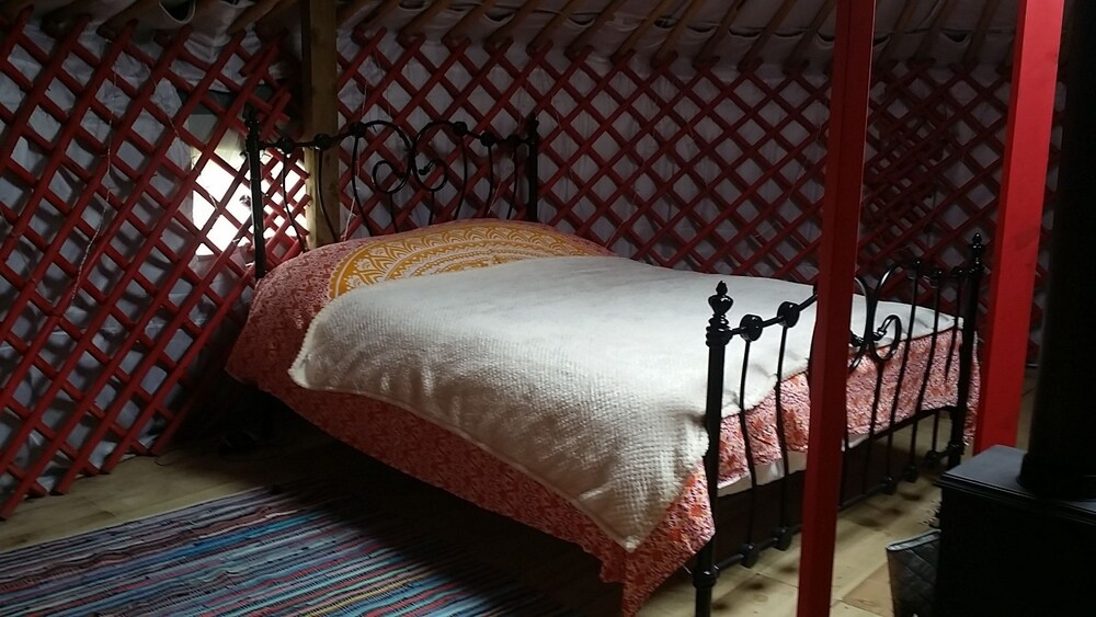 Wych Elm Glamping