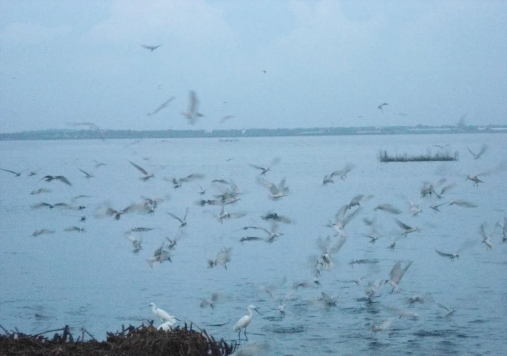 Nilakma Lagoon