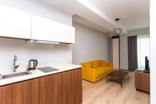 Flat 1 Bedroom 1 Bathroom - Bakuriani