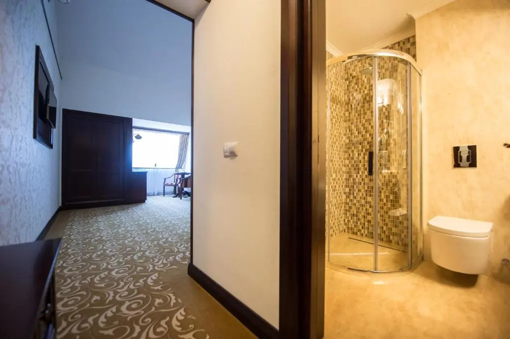 Hotel Silva Busteni