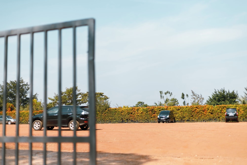 Extreme Adventure Park & Stay at Busika Near Kampala