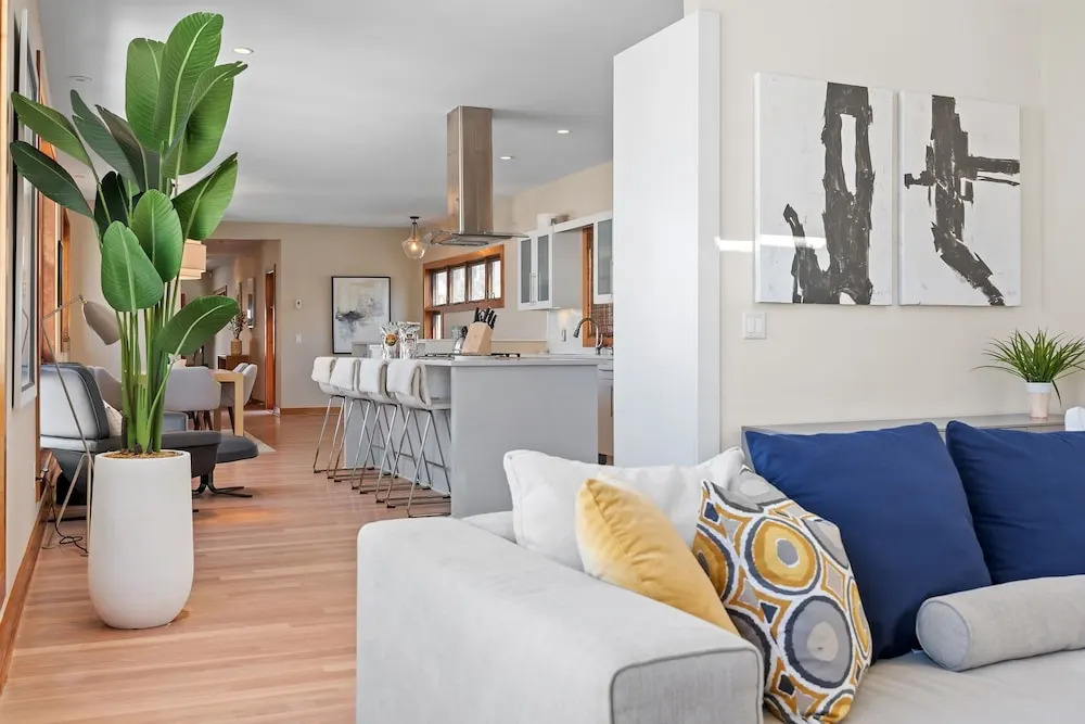 Urban Treehaus