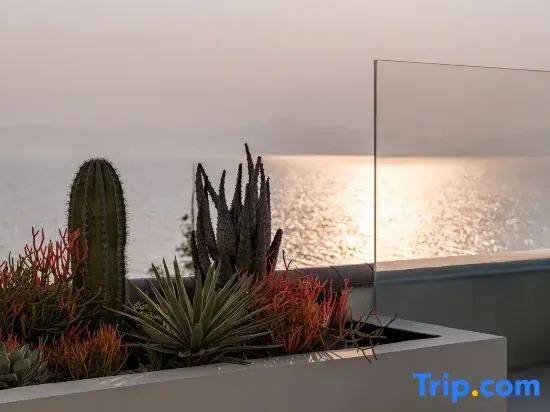 Liu · Seaview Resort Courtyard (Erhai Ecological Corridor Store)
