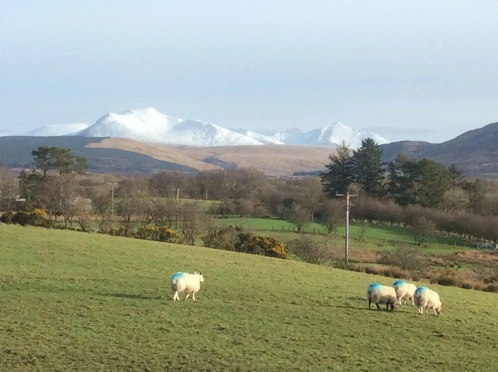 Parkview Arran