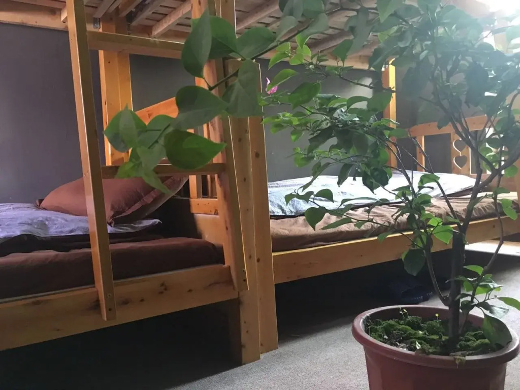 Chengdu Tribe Youth Hostel