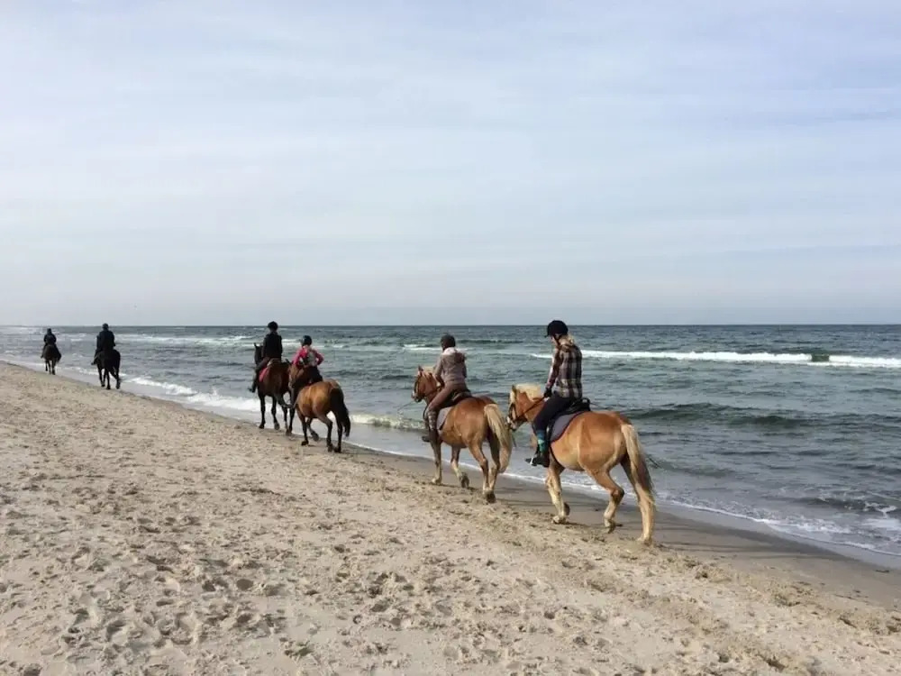 Holiday House Dune Forest b