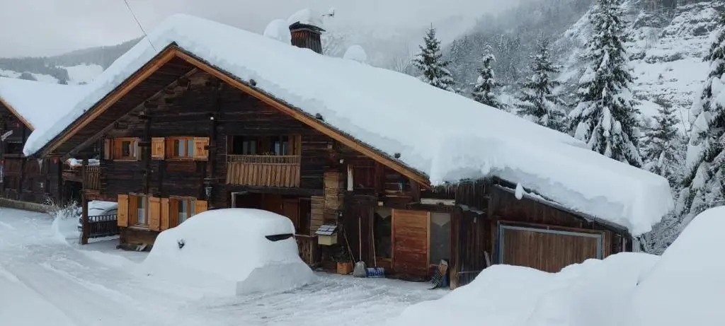 CHALET VENDEE-NEIGE Appartement CHARMIEUX 6 places 3 chambres