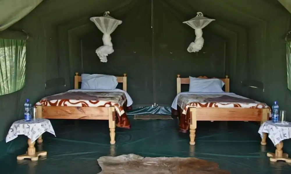 Fisi Camp