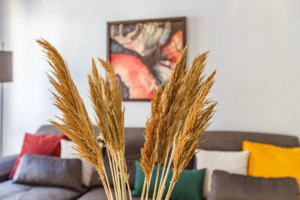 Flat Within Walking Distance to Istiklal Street