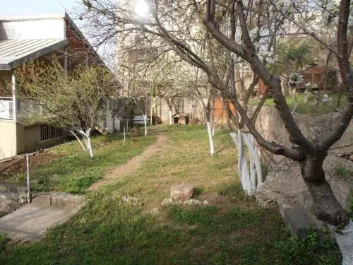 Iulia's House