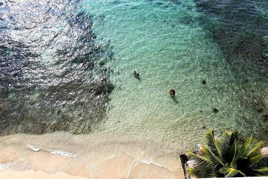 Seabreeze #7