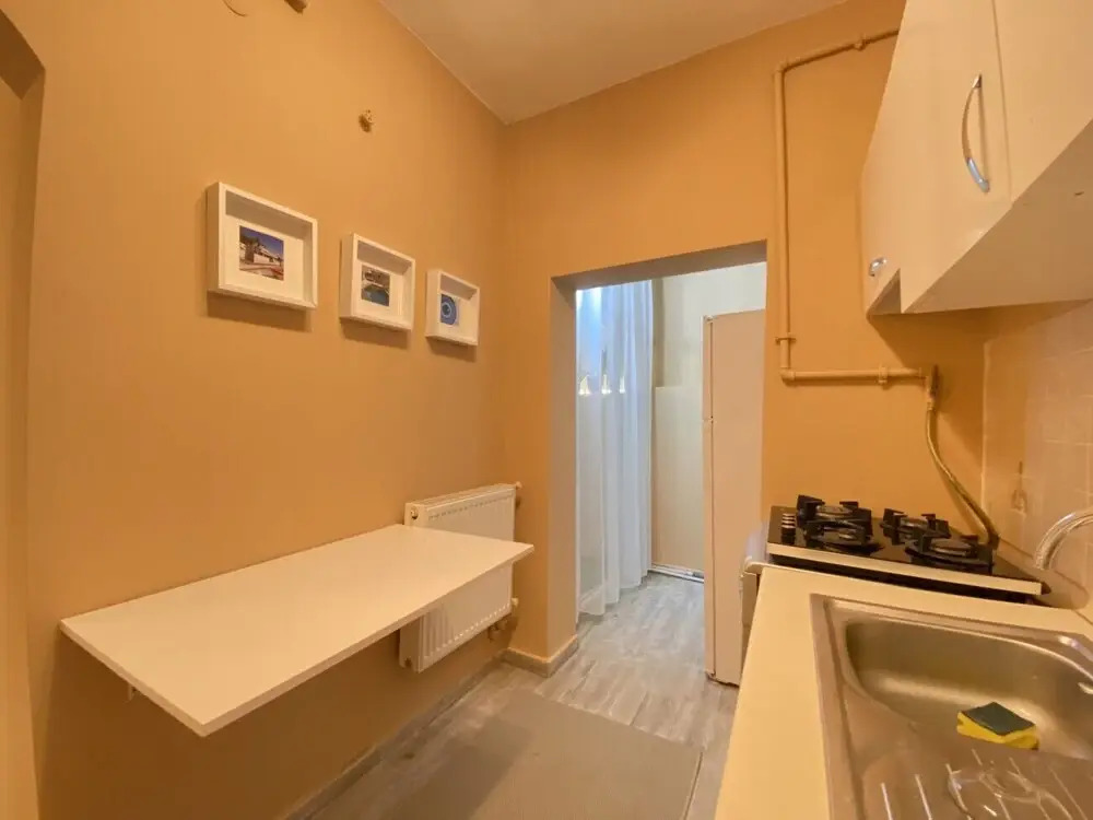 Lovely Home With Backyard in Cihangir