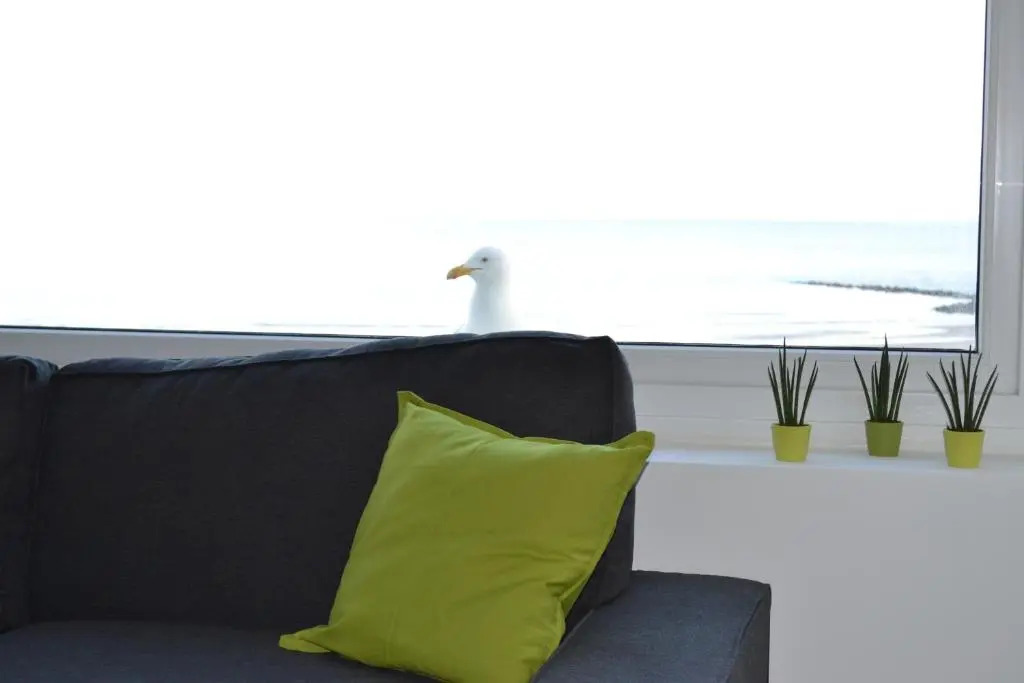 Studio 24 Oostende