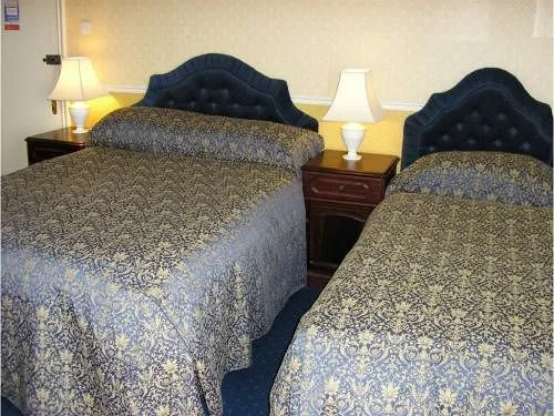 The Avenue Guest House