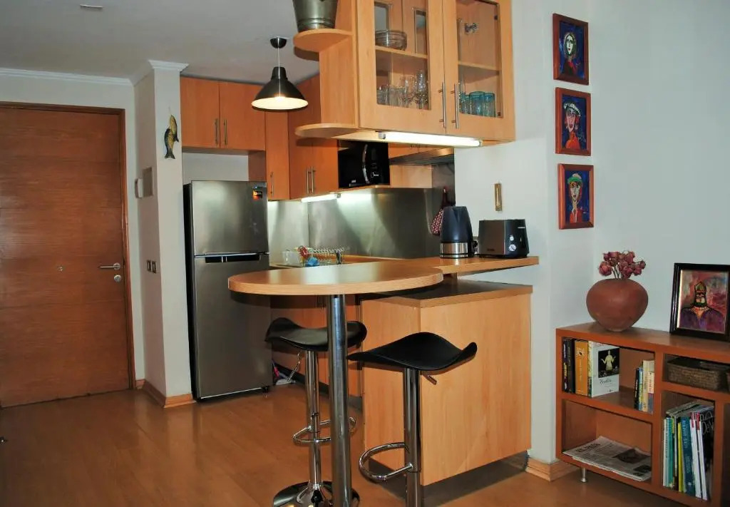 Studio Apartment En Providencia