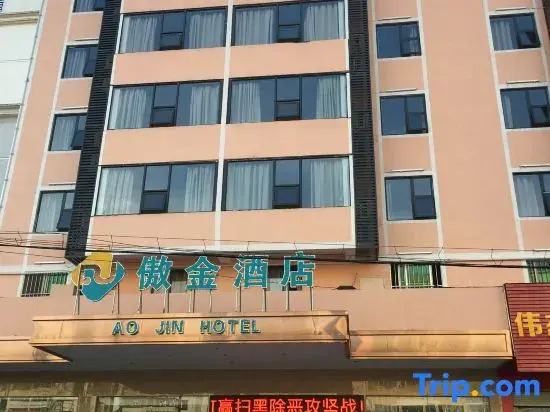 Aojin Hotel (Nanning Dashatian Metro Station)