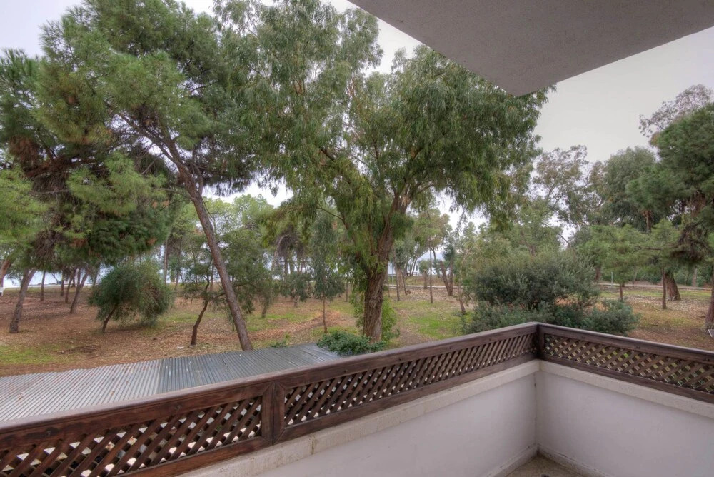 Dasoudi Luxury Beachfront Apartment