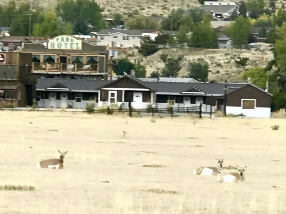 Park Hotel Yellowstone