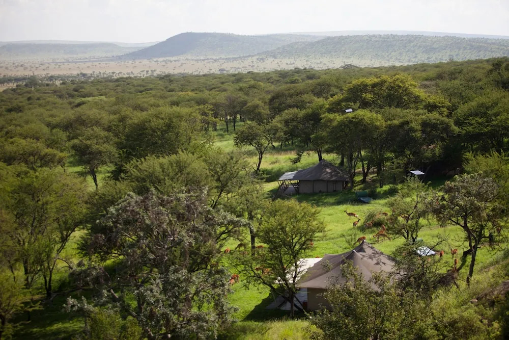 Serengeti Pioneer Camp