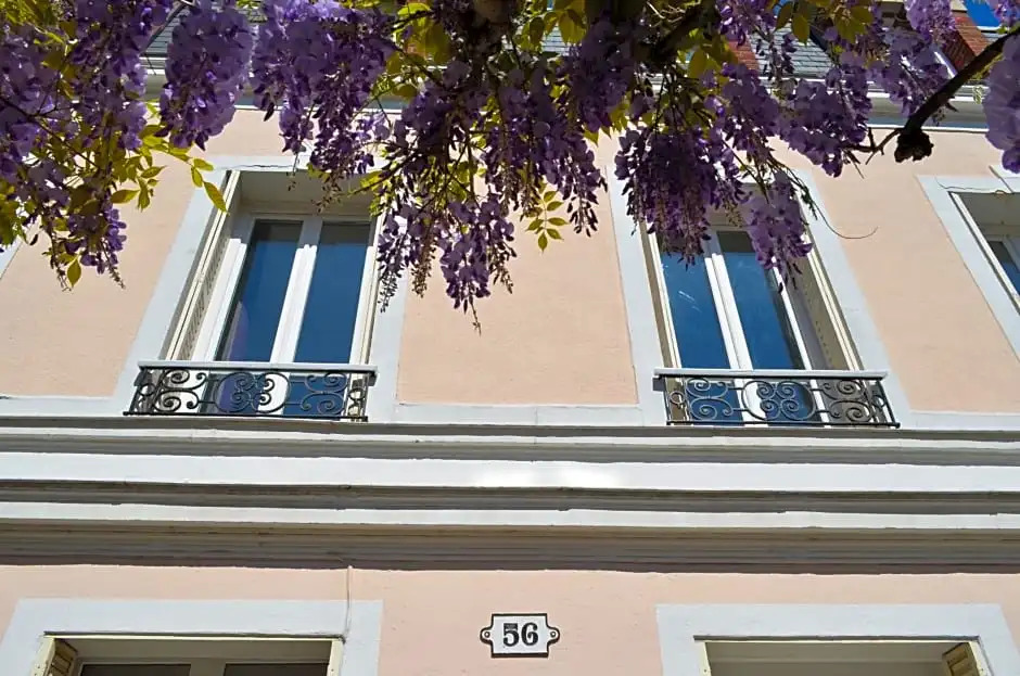 Wisteria