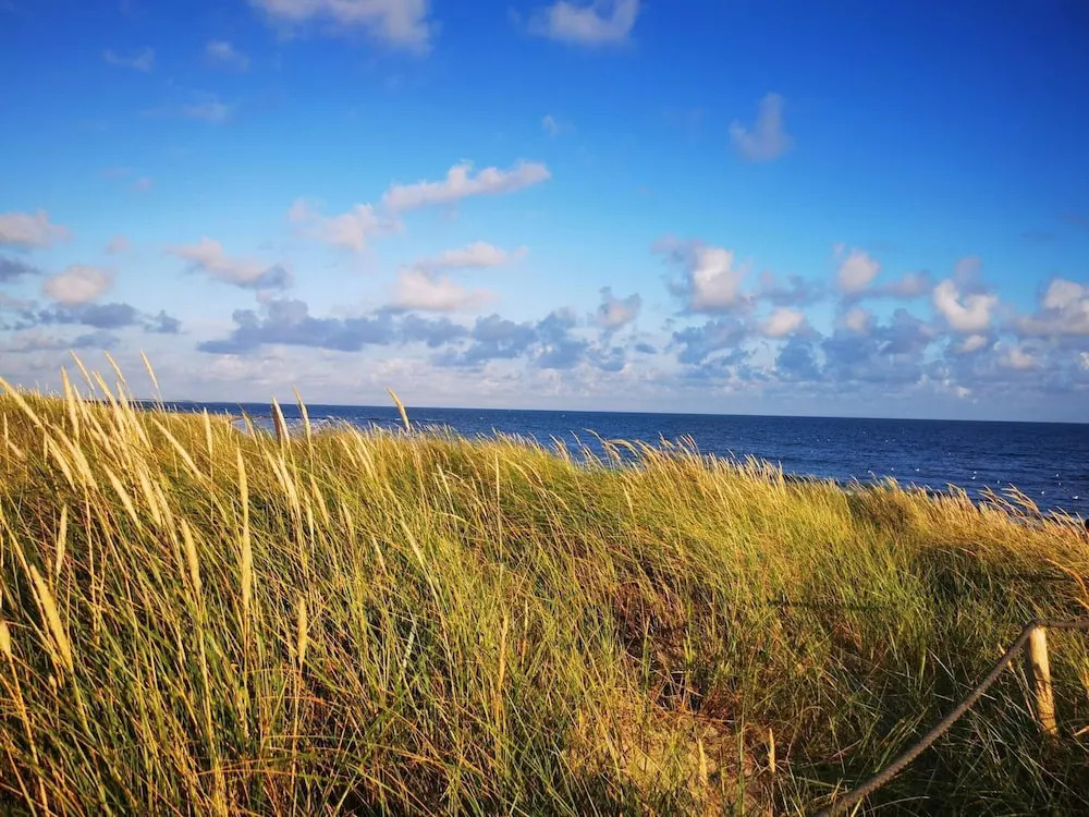 6 person holiday home in Blåvand