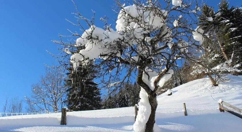 Laubichlhof