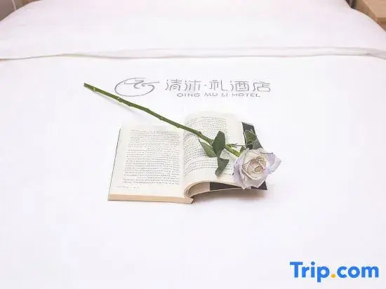 Qingmu Li Hotel (Nanjing University Guangzhou Road)