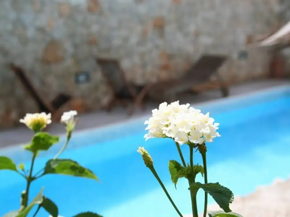 Apartment 3 With Pool And Sea View