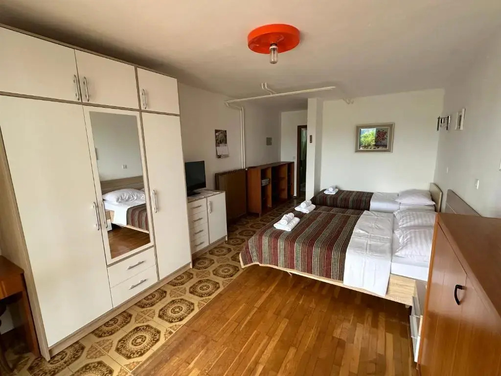 Rooms and Apartments Roza