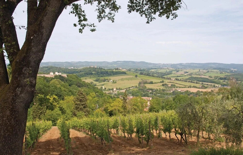 Sanlucchese 2