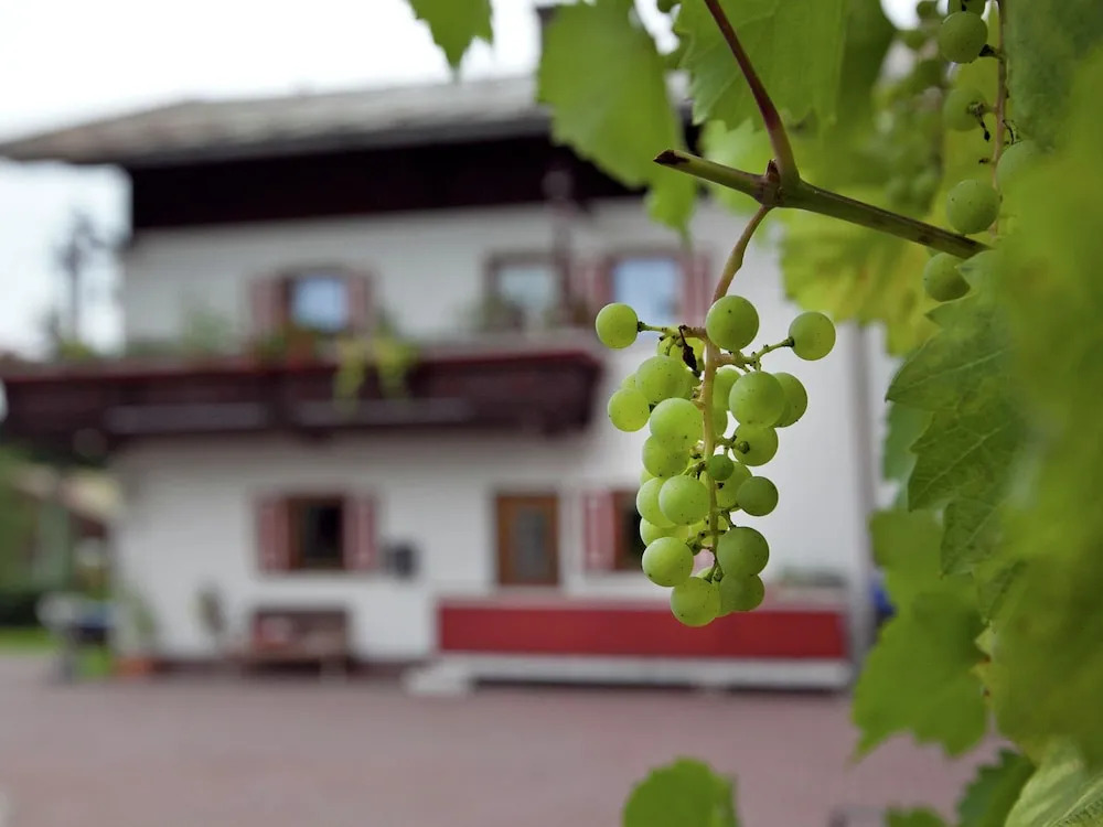 Serene Apartment in Fieberbrunn Tyrol near Ski Area