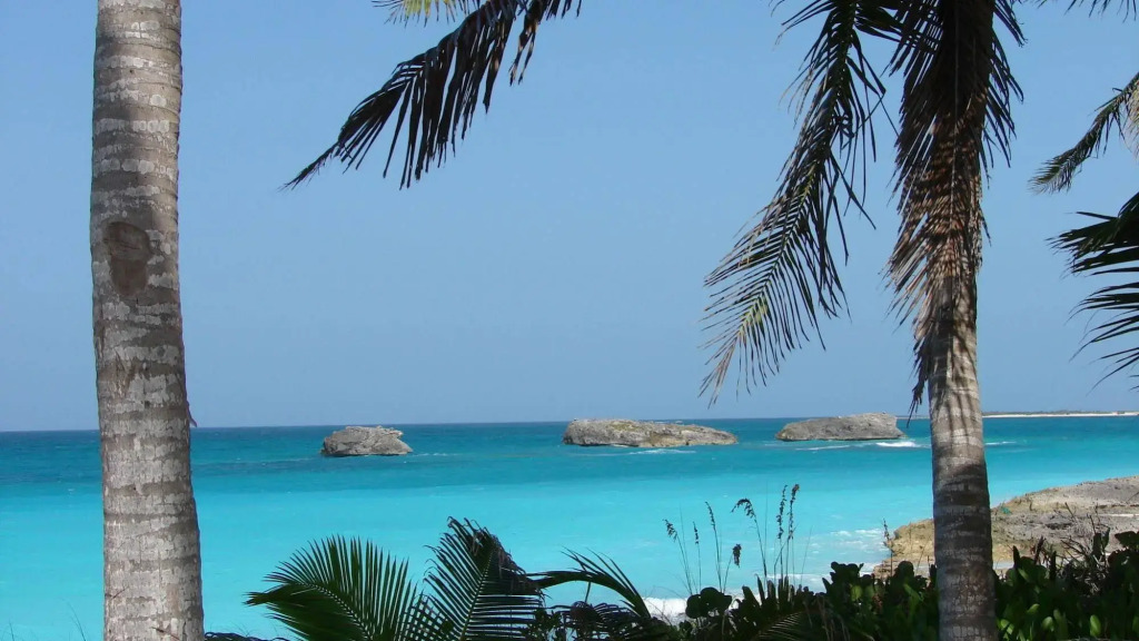 Exuma Palms