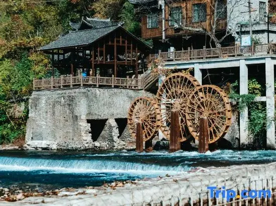 Wangyu Homestay