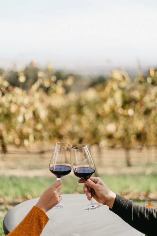 Zevenwacht Wine Estate