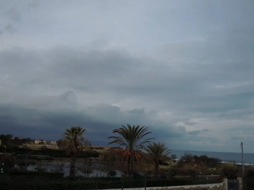 Smera Apartment 20 Meters From the sea